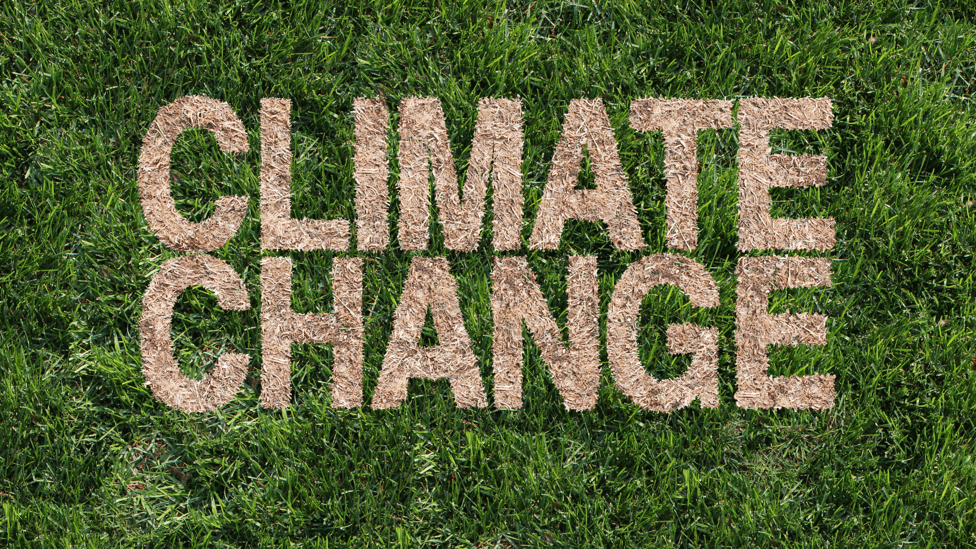 Product carbon footprint vs. corporate carbon footprint  