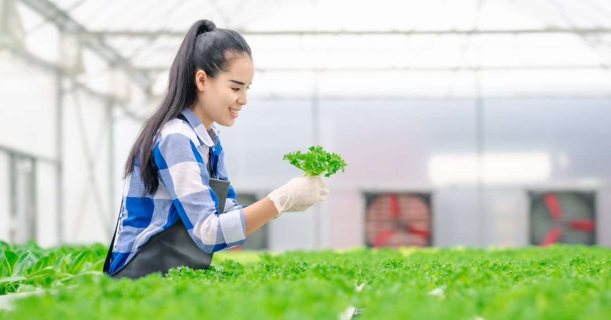 ESG reporting - an obligation or a strategic investment in the future of the company?