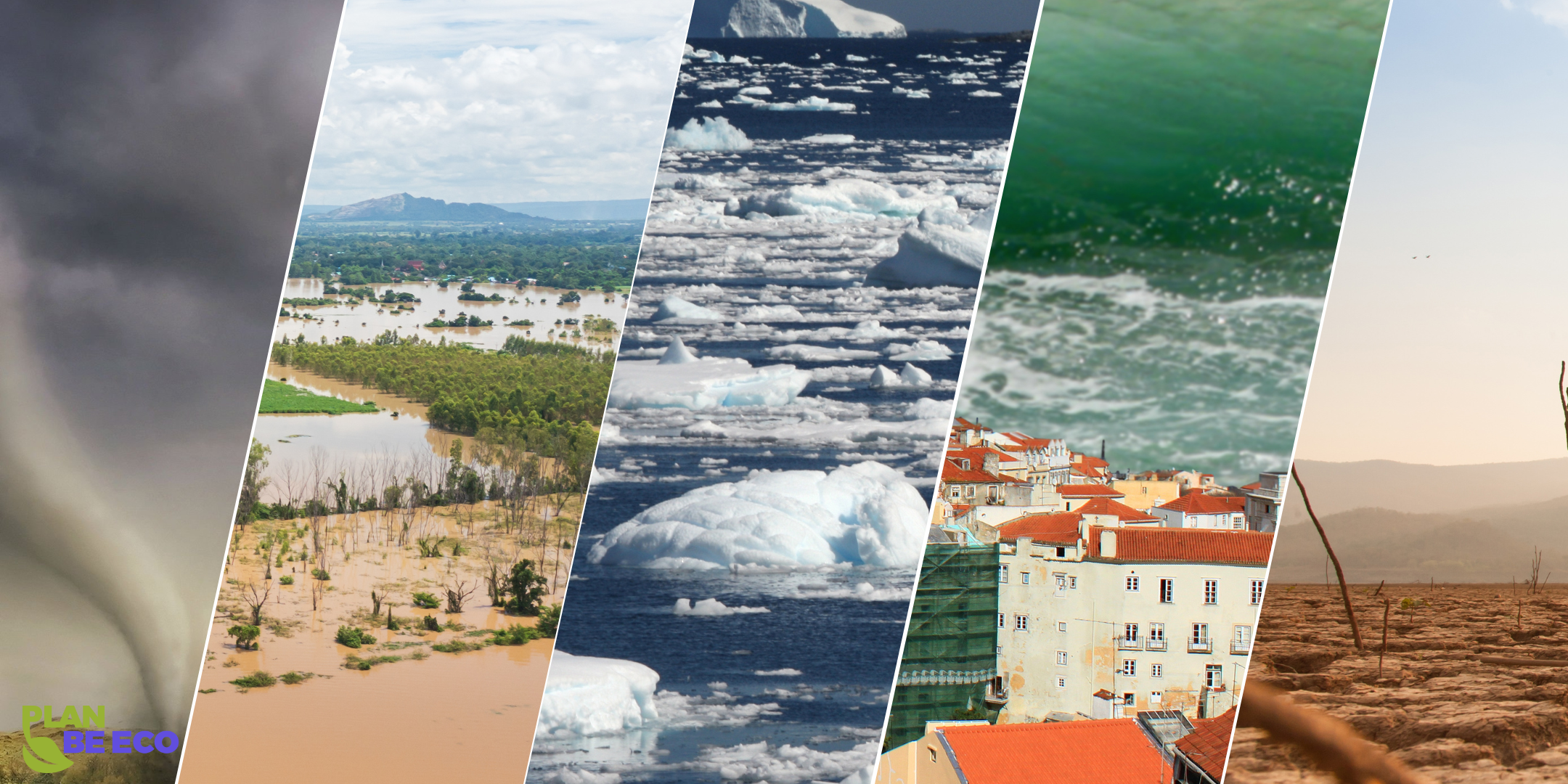 The effects of climate change