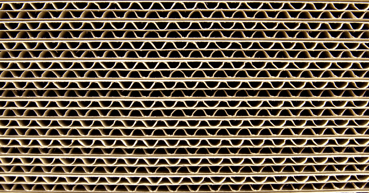 plan_be_eco_[Jak liczyć ślad węglowy opakowań tekturowych – praktyczny poradnik dla przedsiębiorców]__tektura_falista