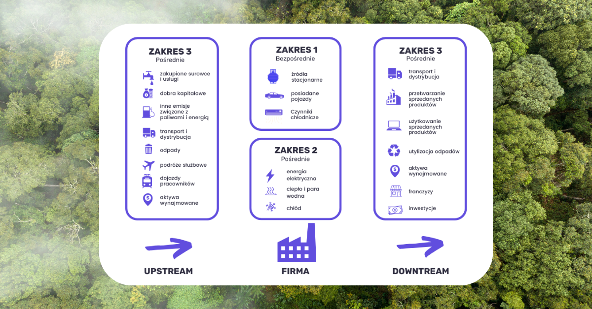 Jak liczyć ślad węglowy firmy? Metodologia, standardy i źródła danych