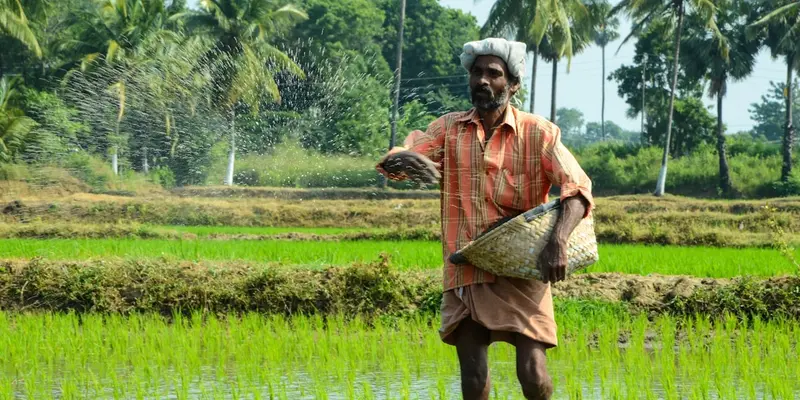 CSRD / DMA for Agriculture & Forestry