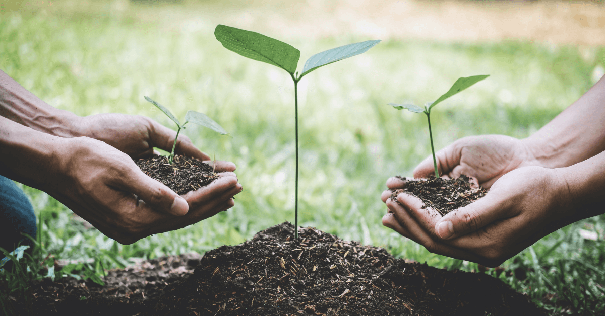 What should every entrepreneur know about the CSRD?