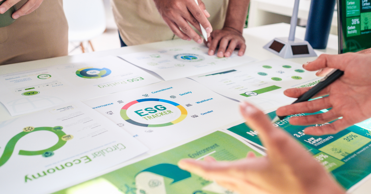 VSME - Voluntary Sustainability Reporting Standard for non-listed SMEs