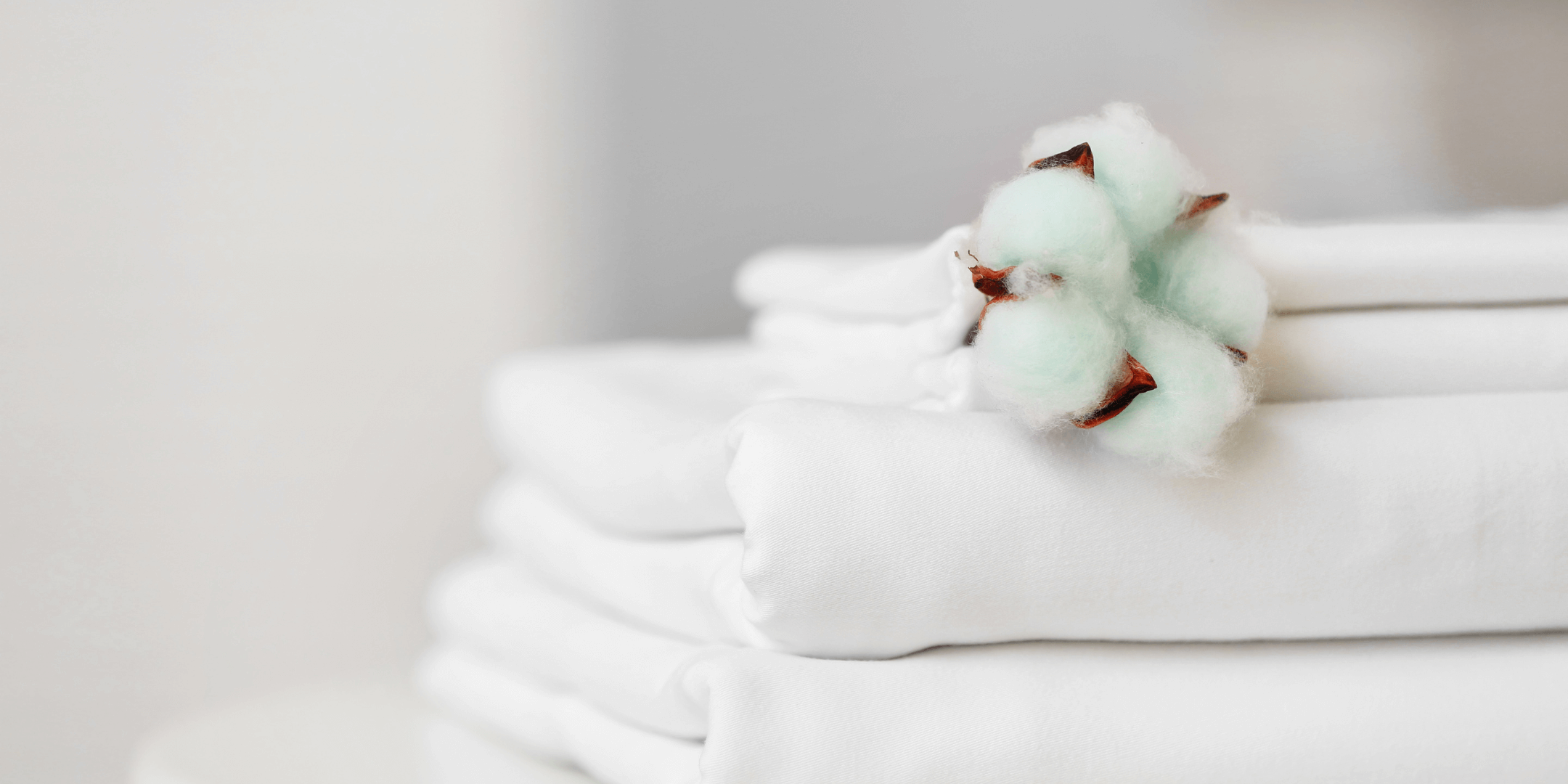 Carbon footprint and water footprint calculating in the fashion industry