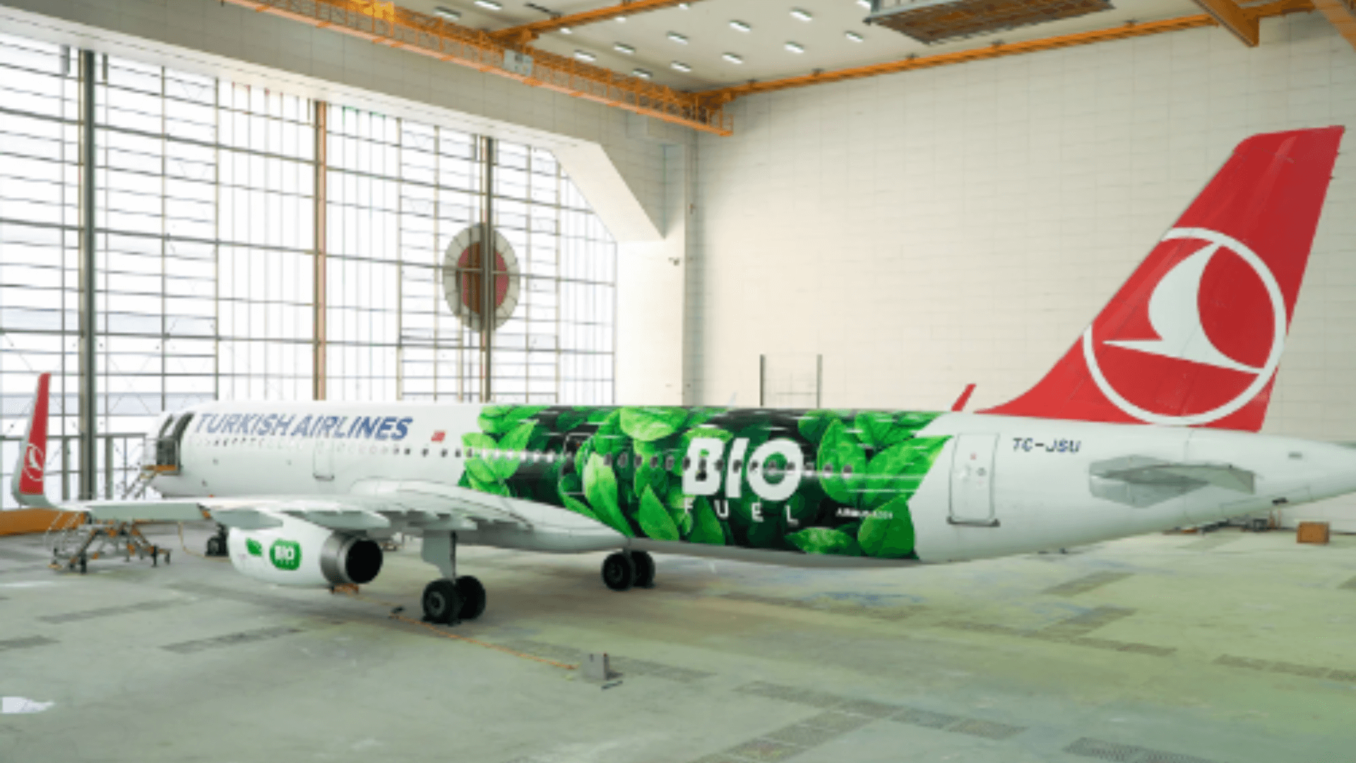 Greenwashing and the consequences for the company - how to prevent it