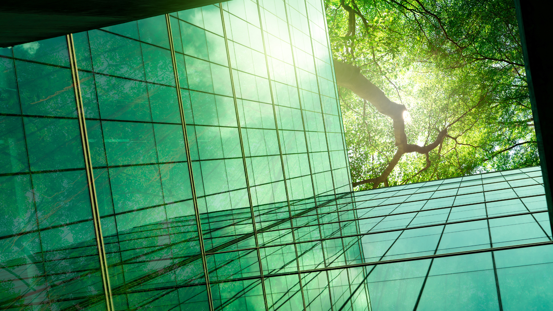Top Trends in ESG Reporting for the Real Estate Industry