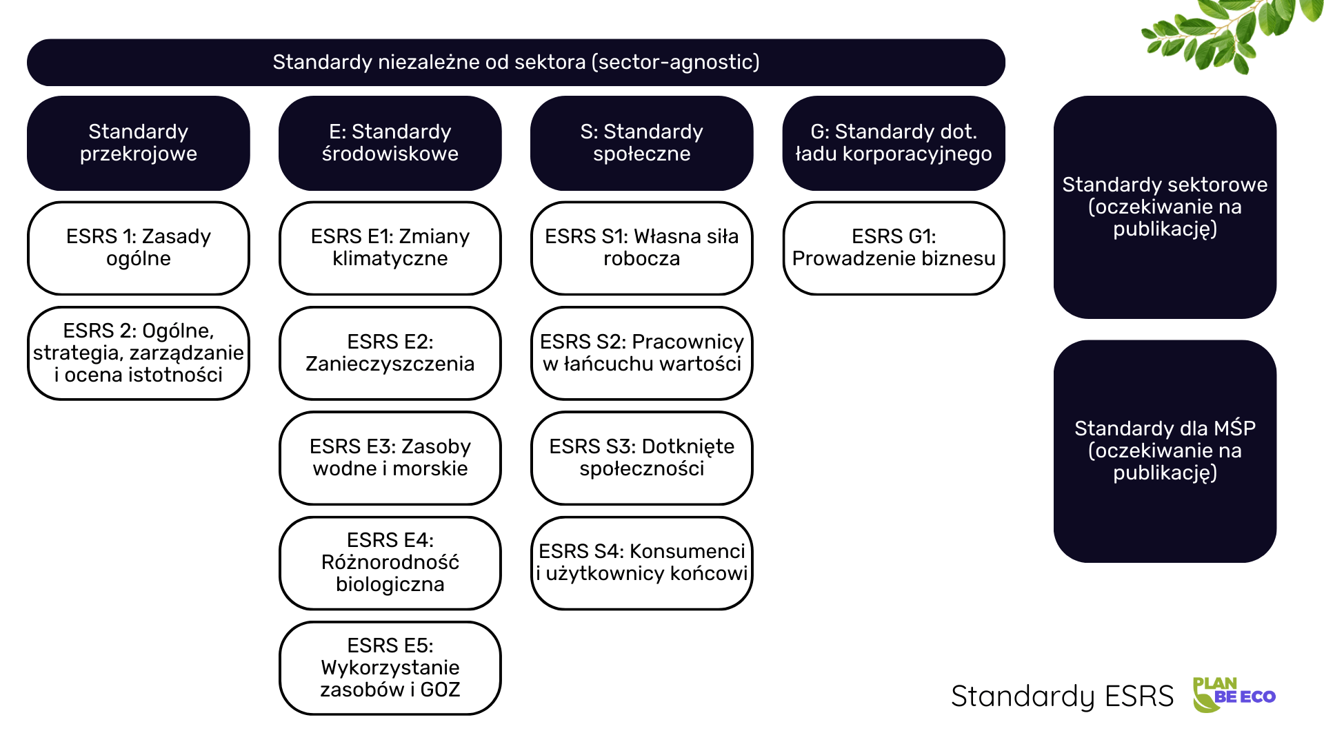 Kluczowe znaczenie European Sustainability Reporting Standards (ESRS) w zrównoważonym biznesie