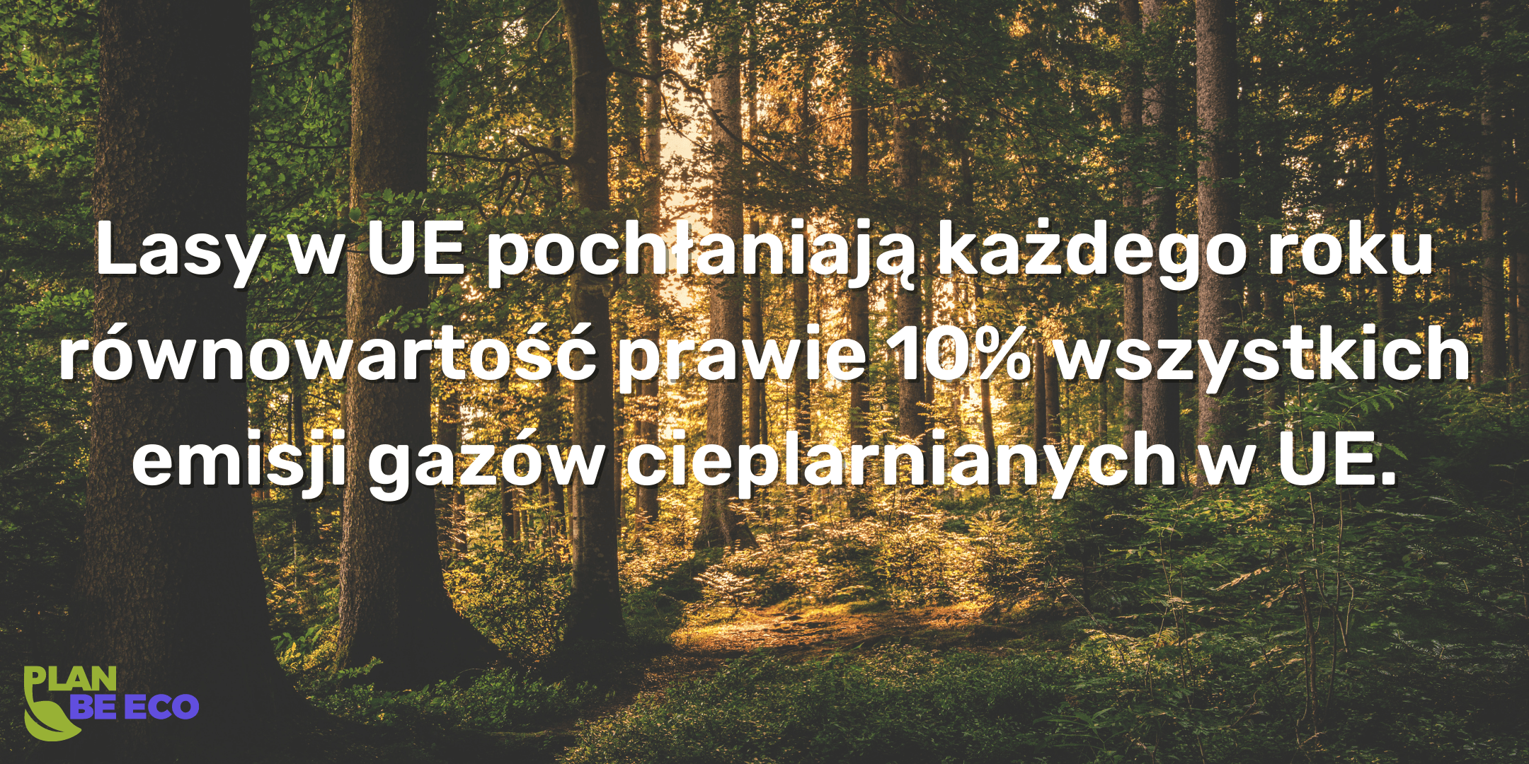 Neutralność węglowa a neutralność klimatyczna 