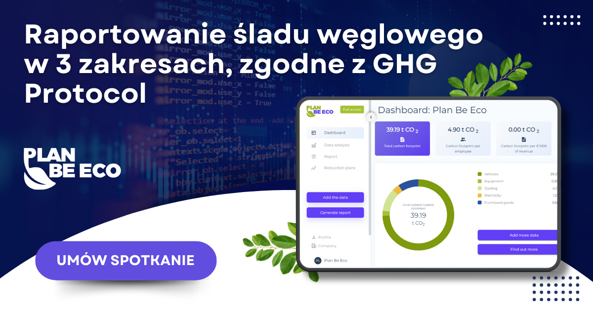 Jak liczyć ślad węglowy opakowań tekturowych – praktyczny poradnik dla przedsiębiorców