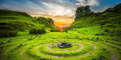 EUDR dla Rolnictwa i leśnictwa