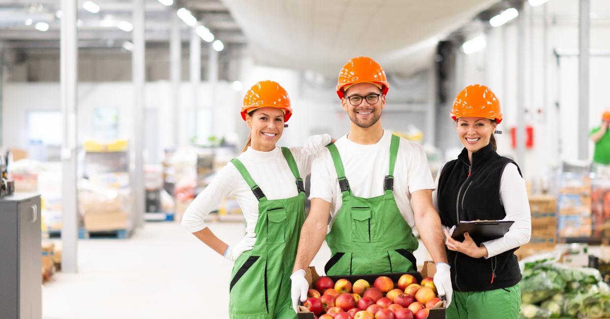 Ślad węglowy żywności – gdzie naprawdę powstają emisje?