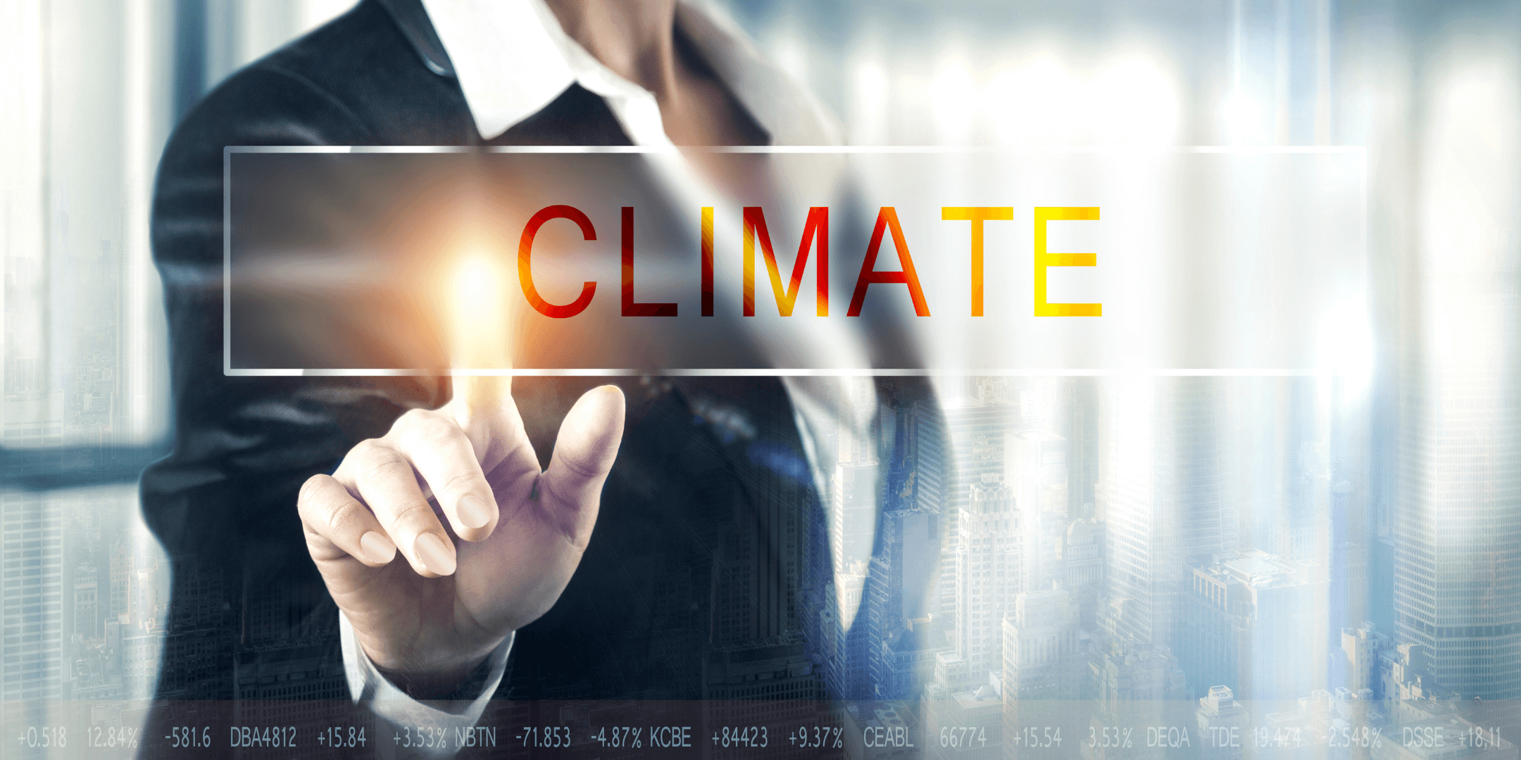 Women at the forefront of the fight against climate change