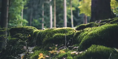 CSRD i DMA dla Administracji publicznej